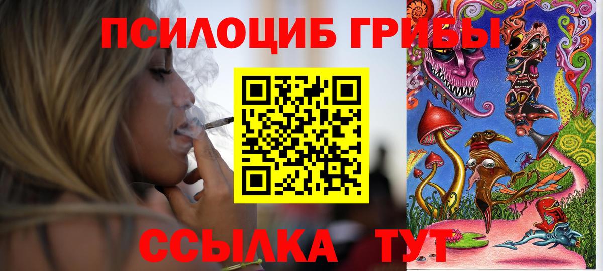 Галлюциногенные грибы GOLDEN TEACHER  Вход с VPN  Павловский Посад 