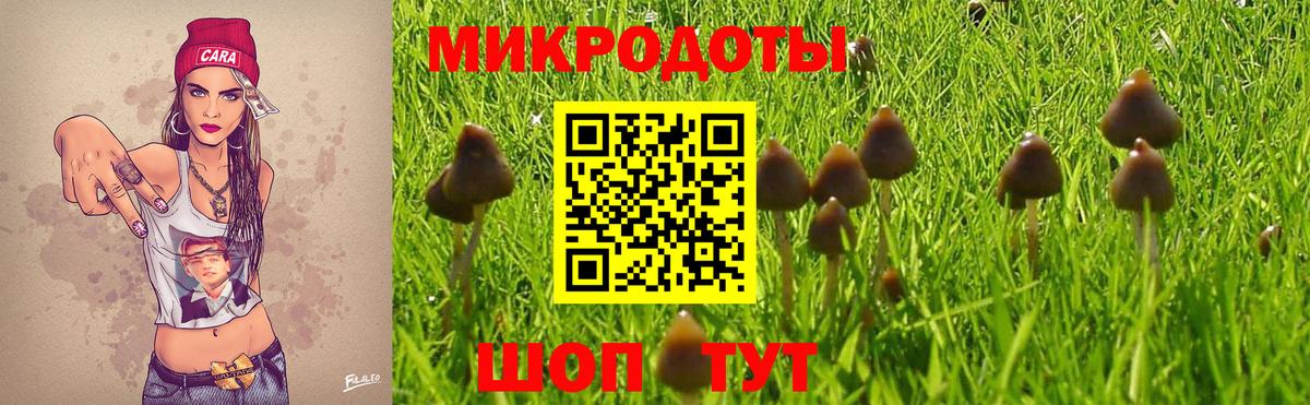 Псилоцибиновые грибы Cubensis Павловский Посад